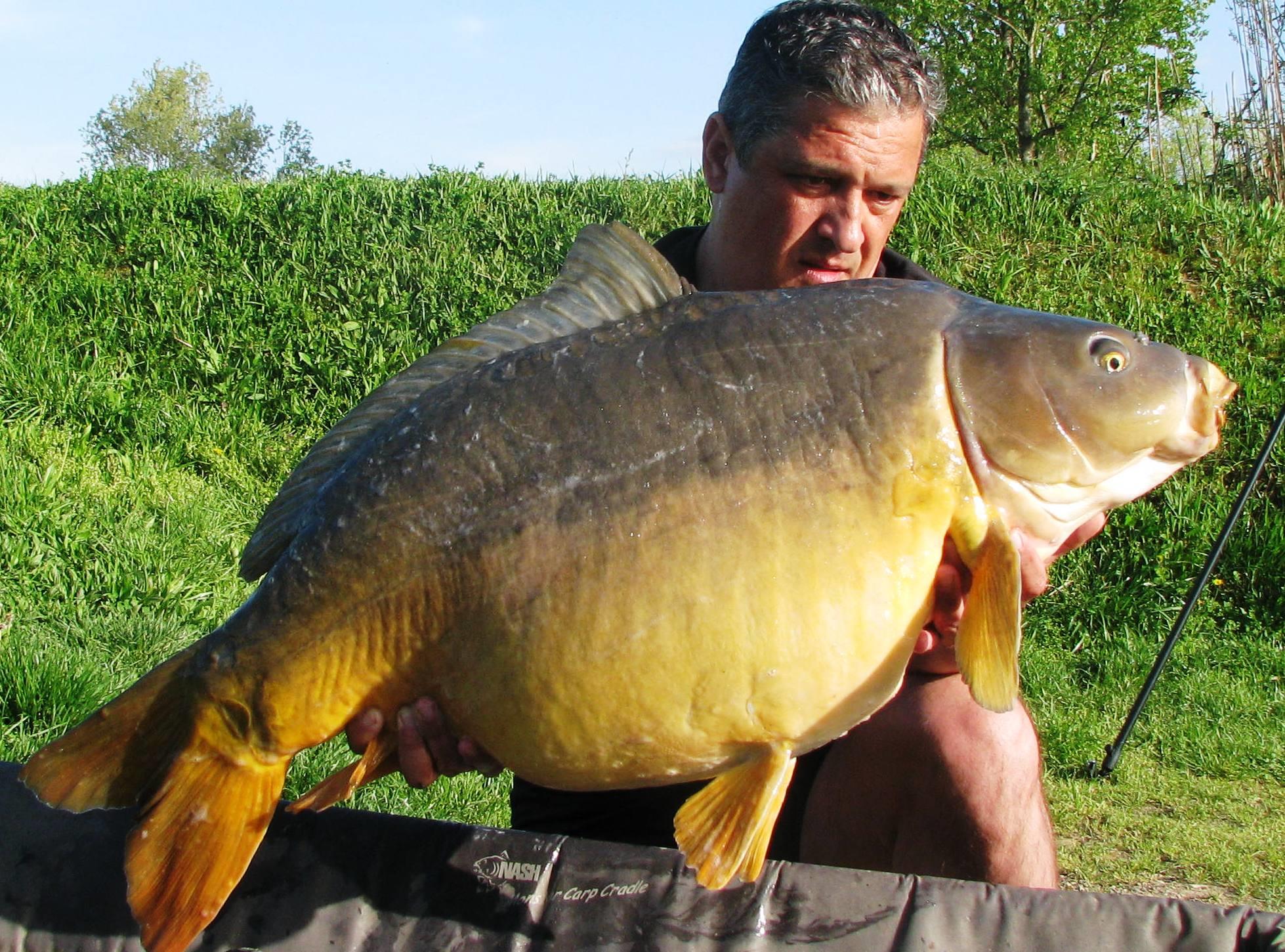 Pelagicevo Jezero  aprilie 2015 - img2056.JPG